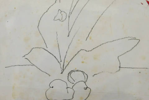 Desenhos