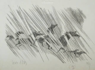 Lívio Abramo - Cavalos