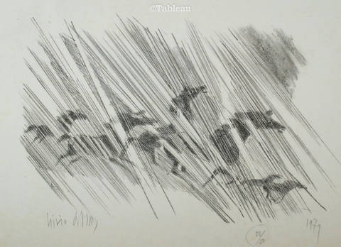 Cavalos