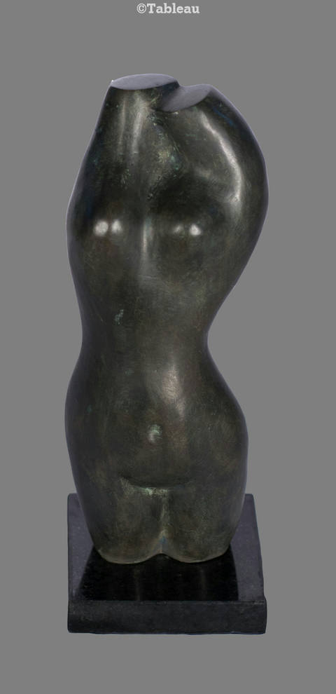Torso