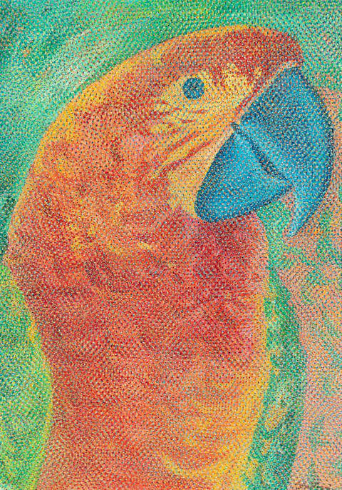 Arara