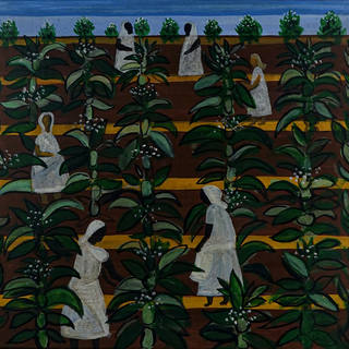 Djanira da Motta e Silva - Cafeicultores