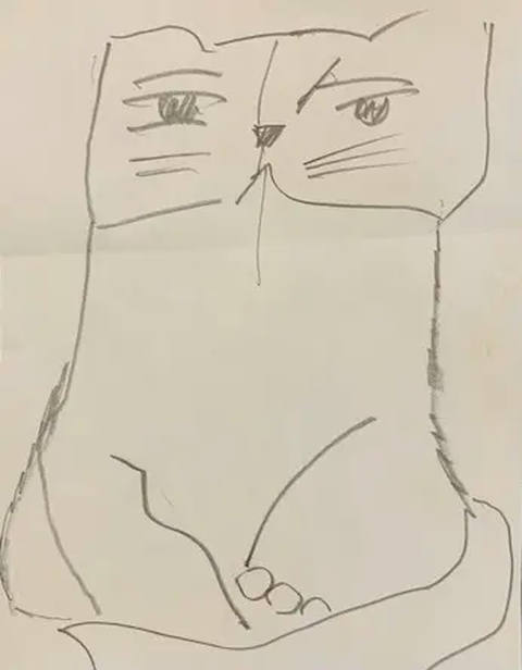 Gato