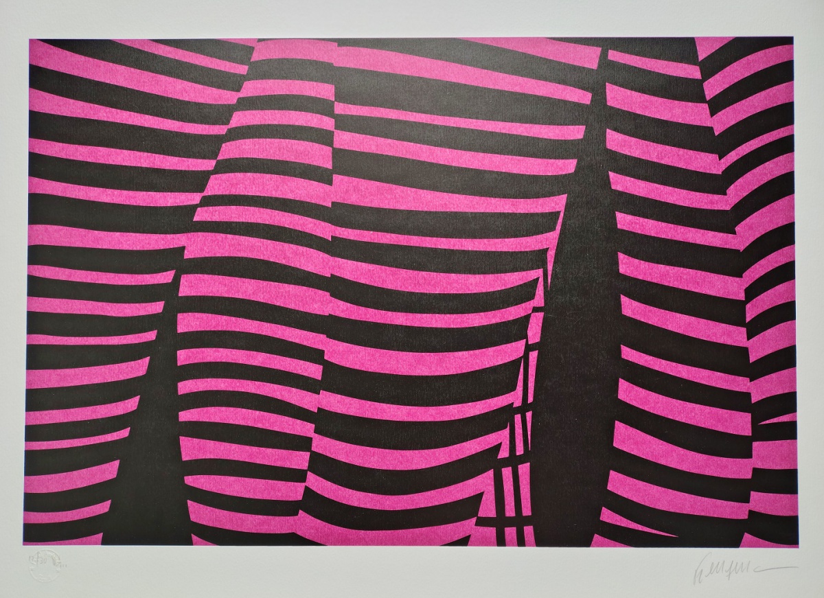 Kleber Ventura - Pernas Pink