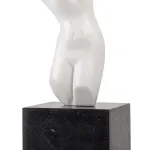 Torso