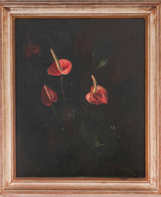Candido Portinari - Antúrios