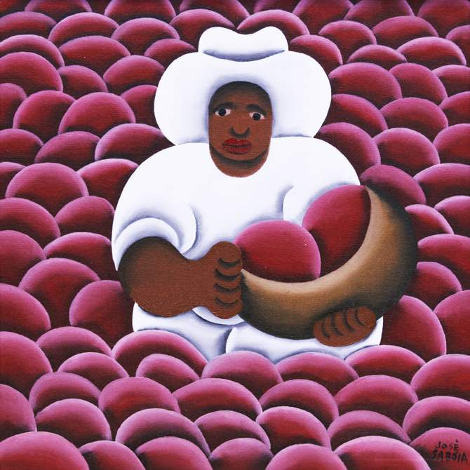 José Sabóia - Colhedor