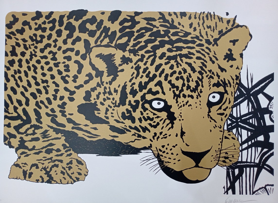 Onça Dourada