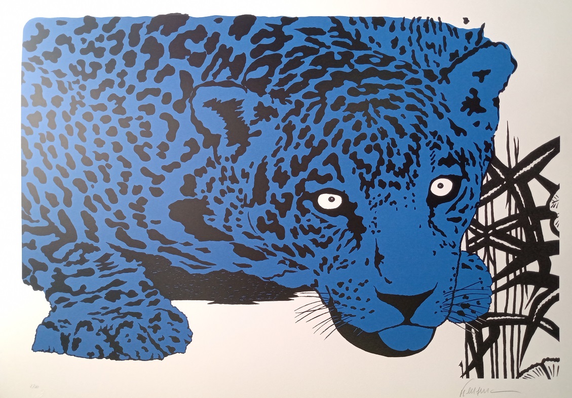 Onça Azul