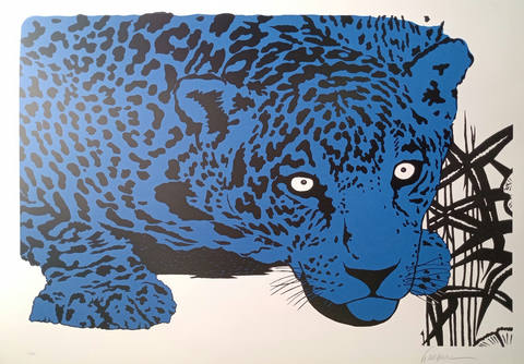 Onça Azul