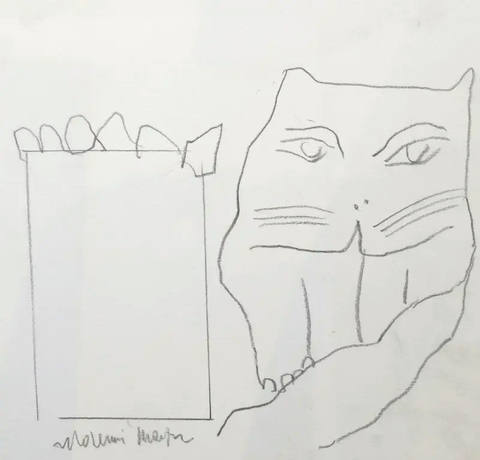 Gato