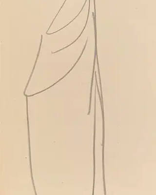 Aldemir Martins - Figura