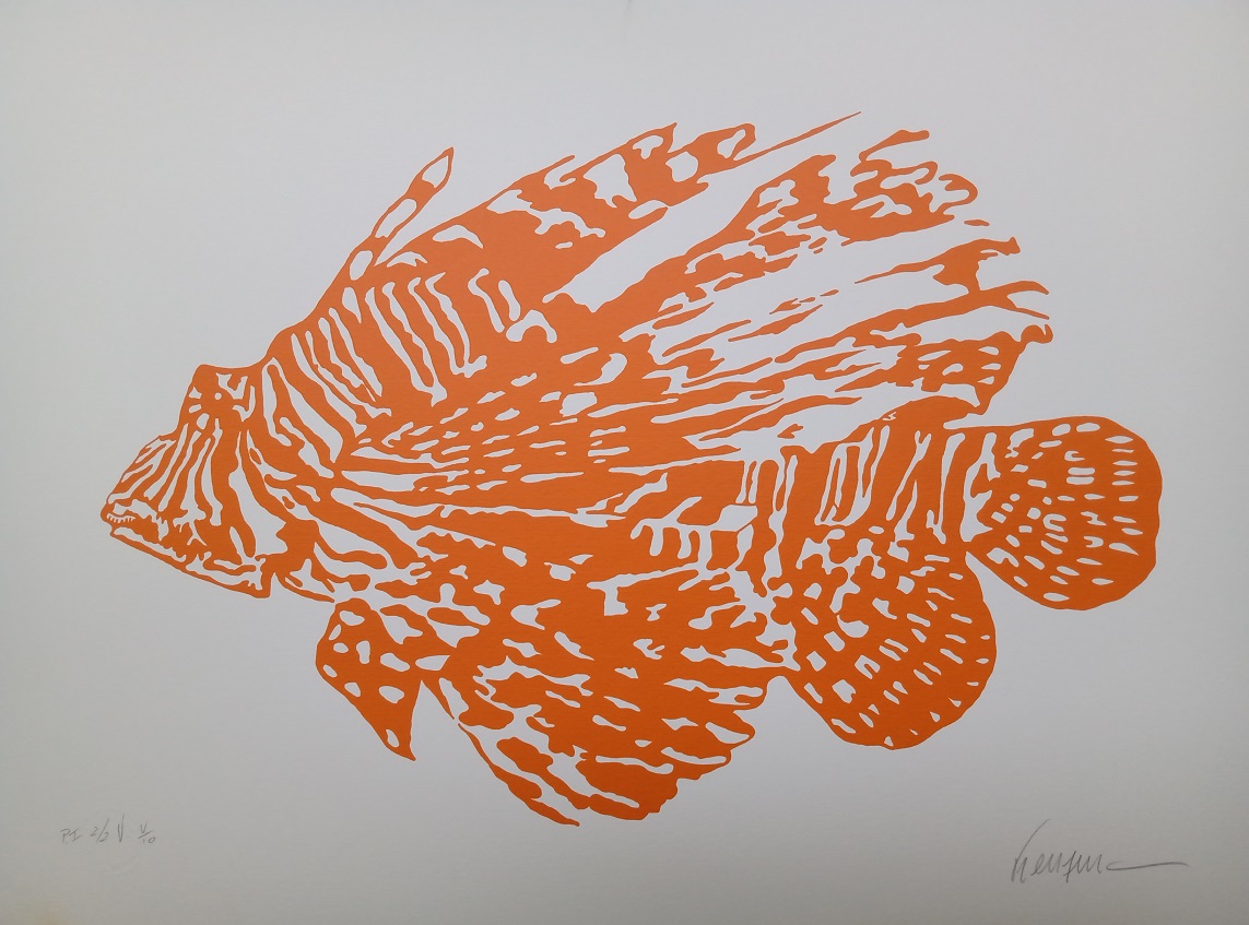Kleber Ventura - Peixe Laranja