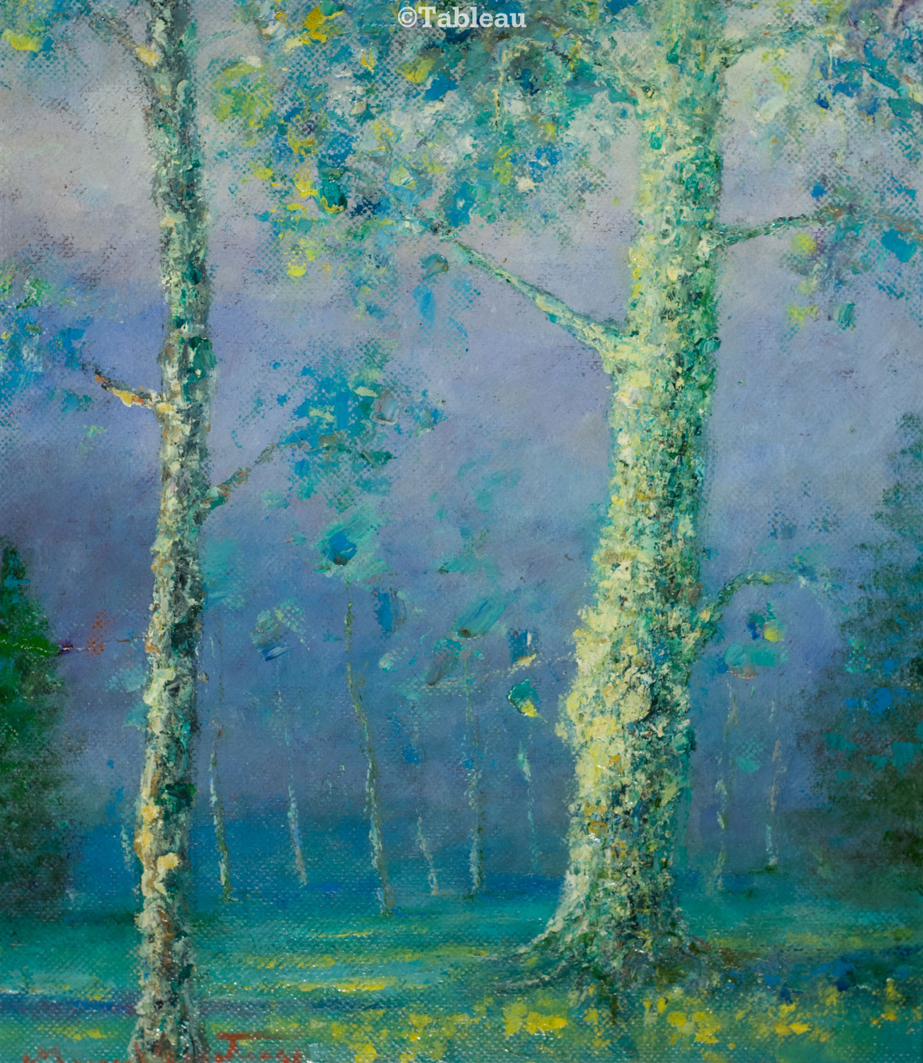 Manoel Santiago - Cascudas