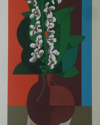 Inos Corradin - Orquídeas