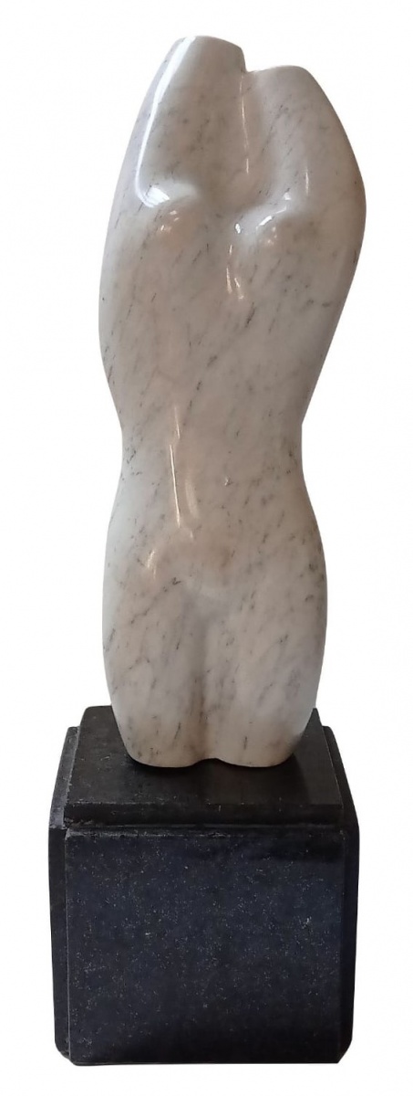 Torso