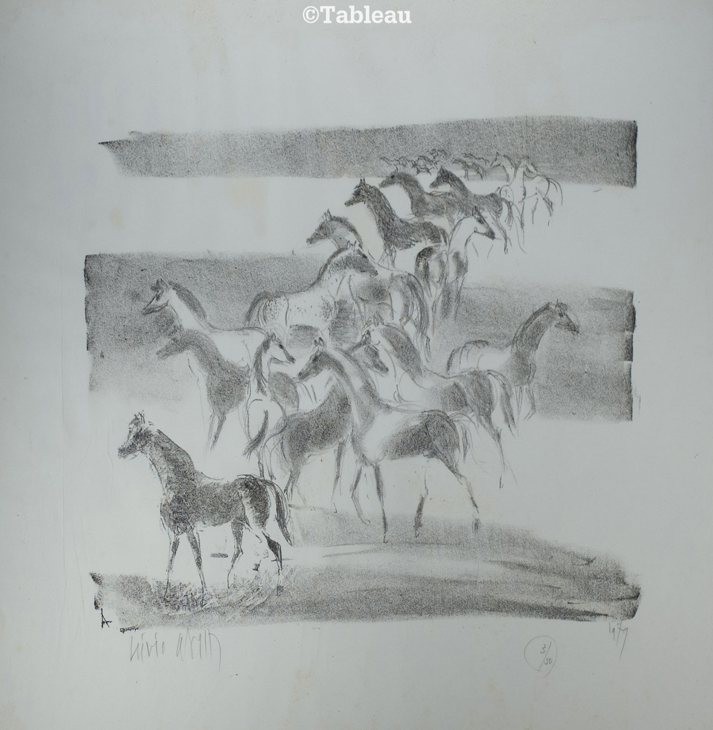 Cavalos