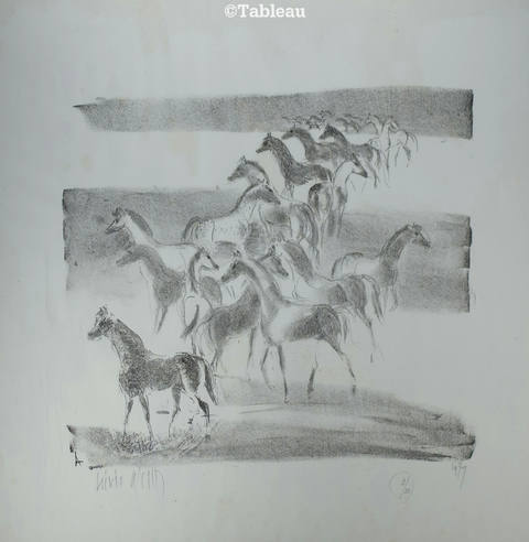 Cavalos