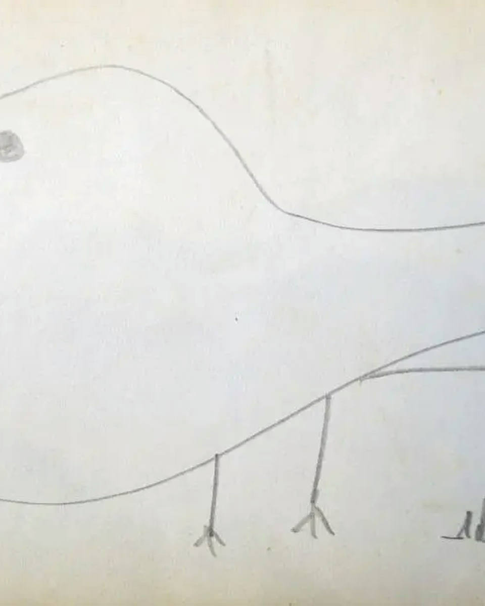 Aldemir Martins - Pomba
