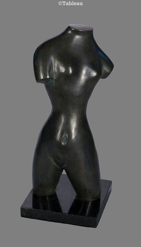 Torso