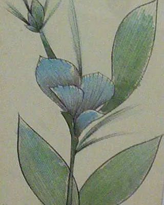 Aldemir Martins - Flores
