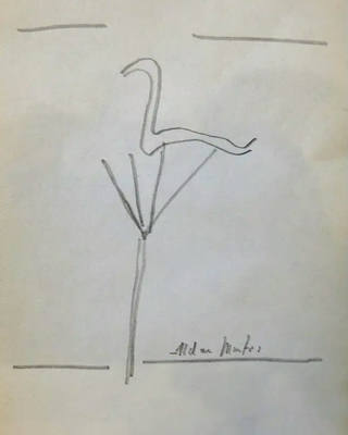 Aldemir Martins - Estudo