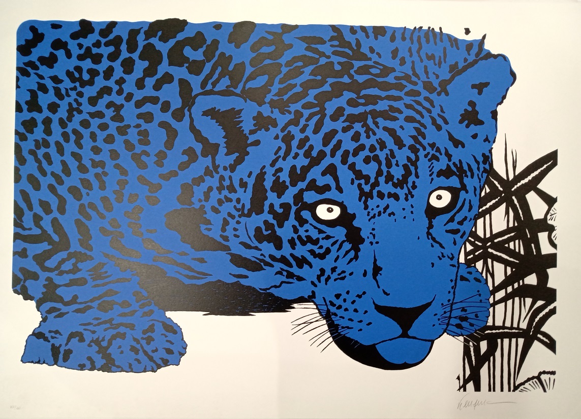 Onça Azul