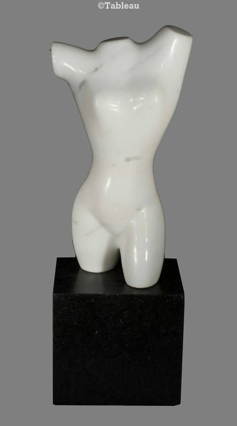 Torso
