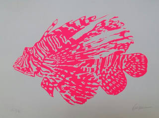 Kleber Ventura - Peixe Rosa