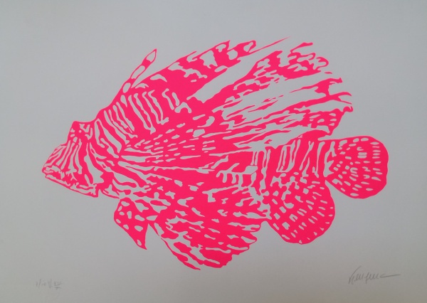 Kleber Ventura - Peixe Rosa