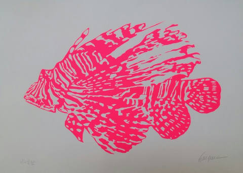 Peixe Rosa