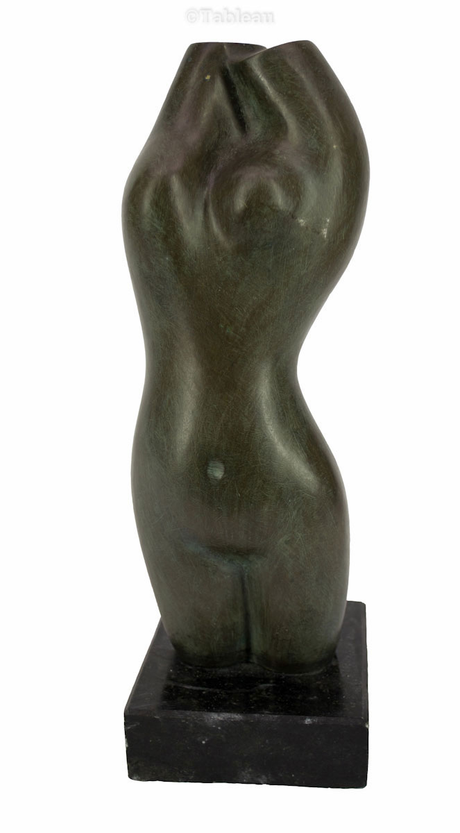 Torso