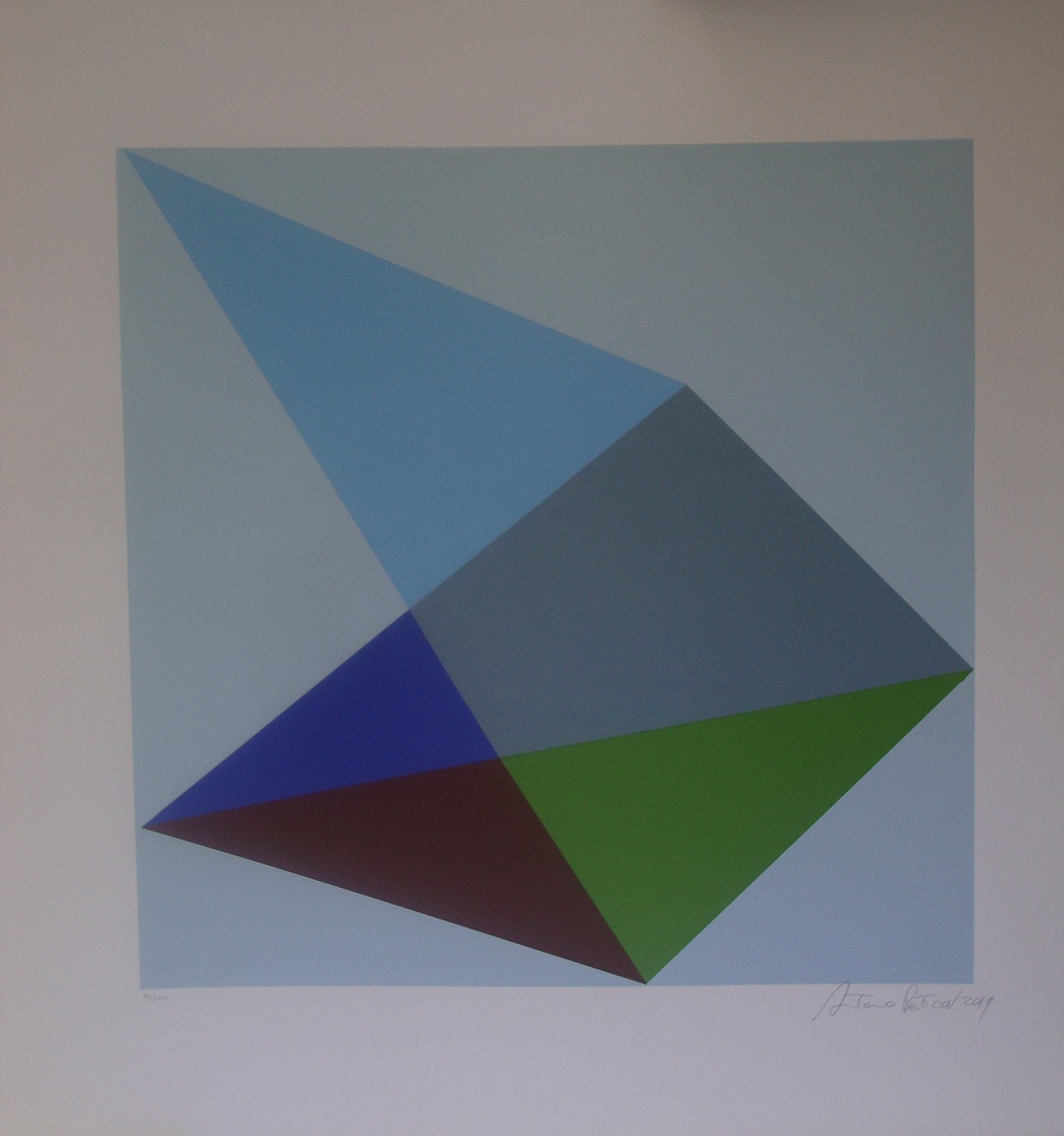 Antonio Peticov - Geométrico