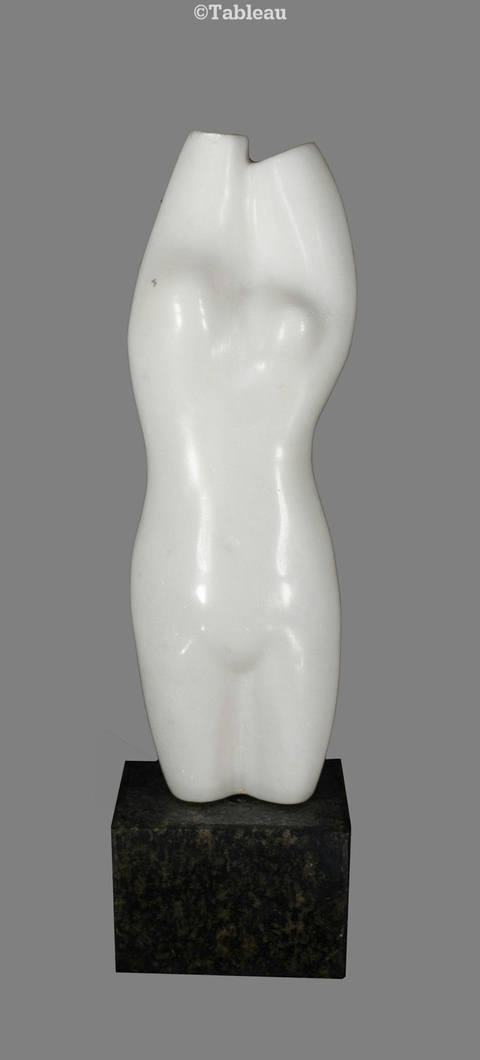 Torso
