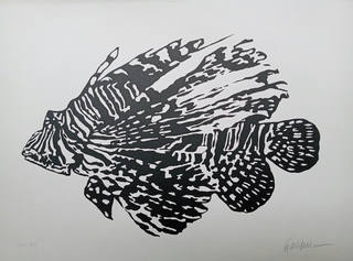 Kleber Ventura - Piranha