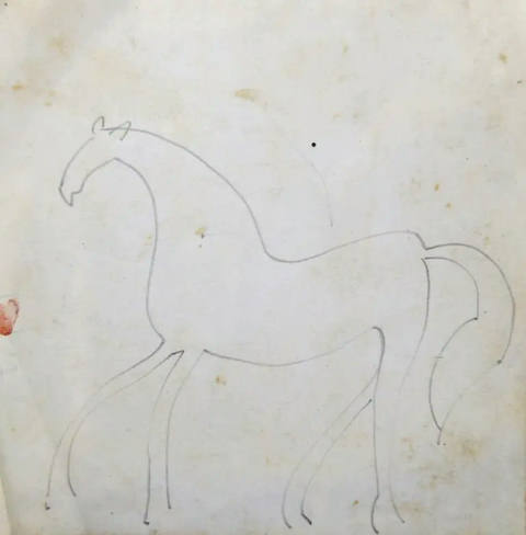 Estudo Cavalo