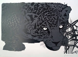 Kleber Ventura - Onça Pintada