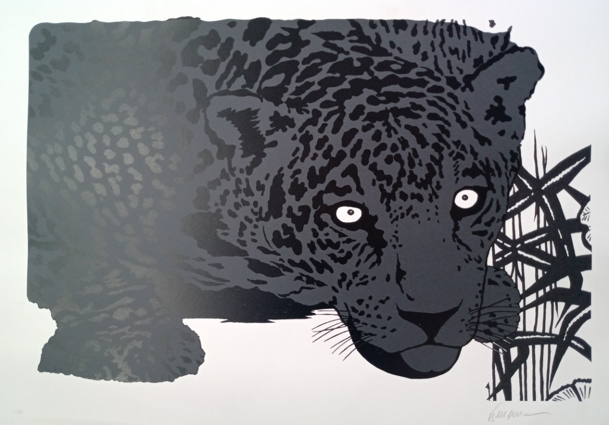 Onça pintada