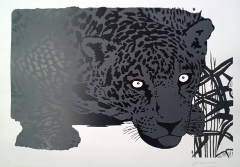 Onça Pintada