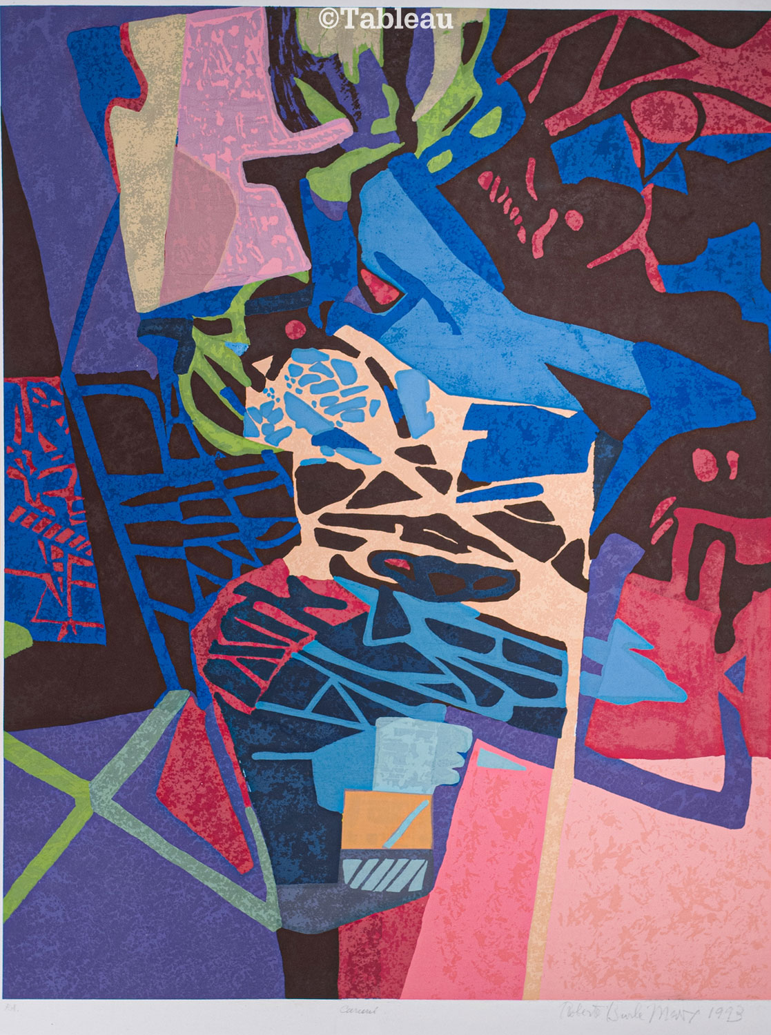 Roberto Burle Marx - Caruru
