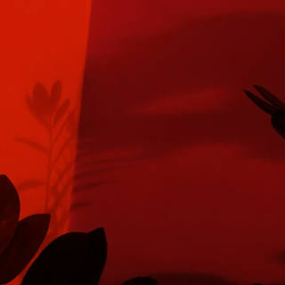 Nato Gomes - Dialogando com as Sombras III