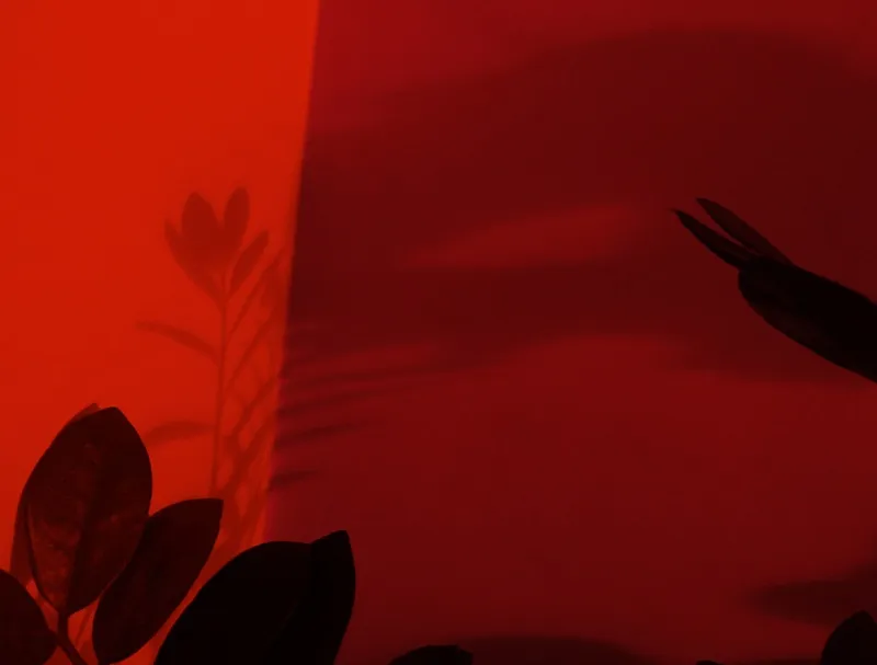 Nato Gomes - Dialogando com as Sombras III