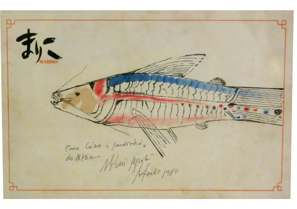 Peixe
