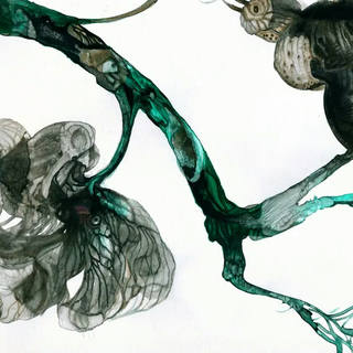 Nato Gomes - Flora Ameaçada XV