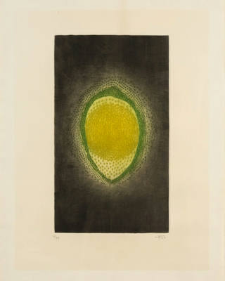 Arthur Luiz Piza - Verte Jaune