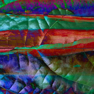 Nato Gomes - Natureza Recriada V