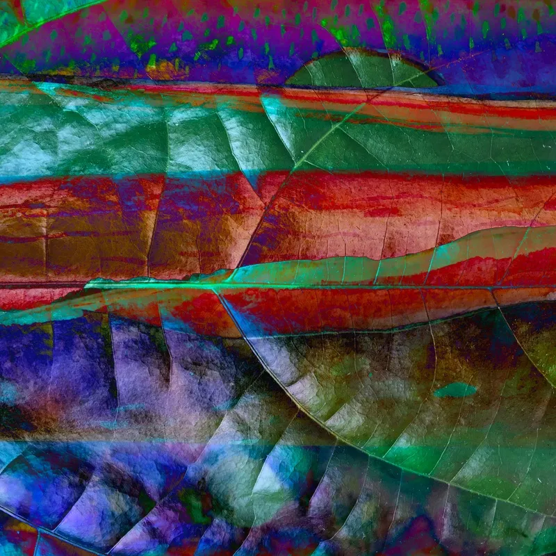 Nato Gomes - Natureza Recriada V