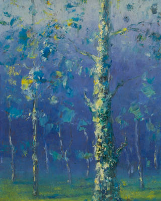 Manoel Santiago - Cascudas