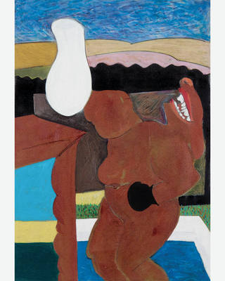 Cildo Meireles - Pugilista