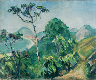 Roberto Burle Marx - Morro Chapéu Mangueira
